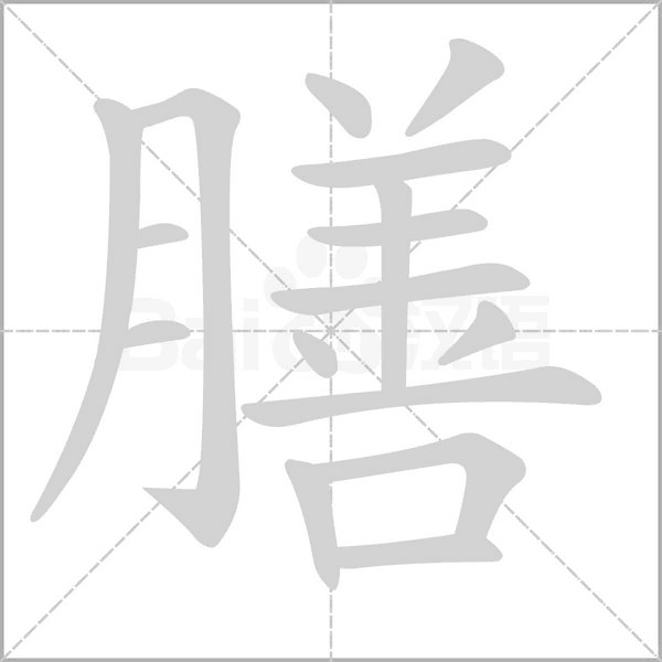 膳笔顺动图