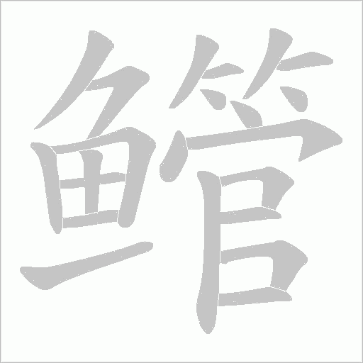 鳤笔顺动图