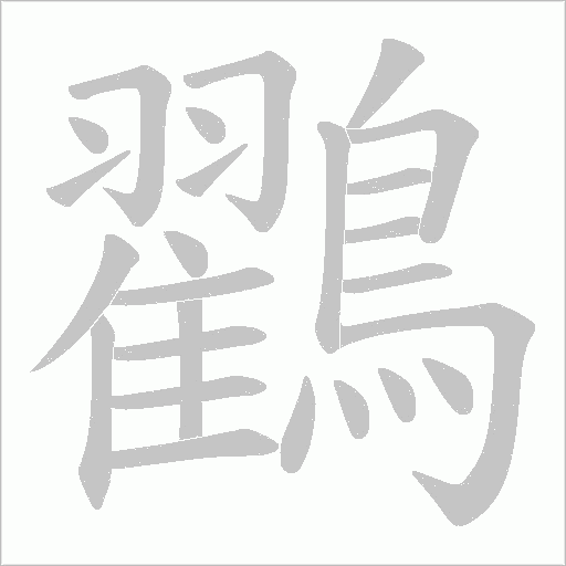 鸐笔顺动图