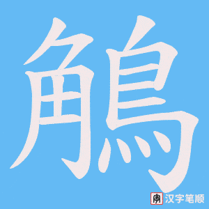 鵤笔顺动图