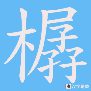 樼笔顺动图