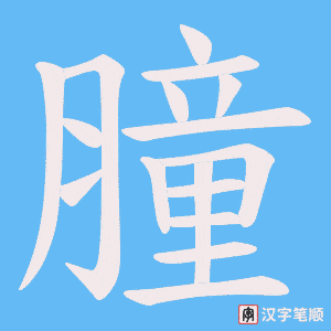 膧笔顺动图