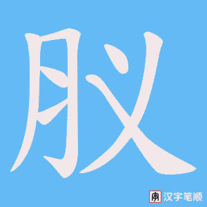 肞笔顺动图