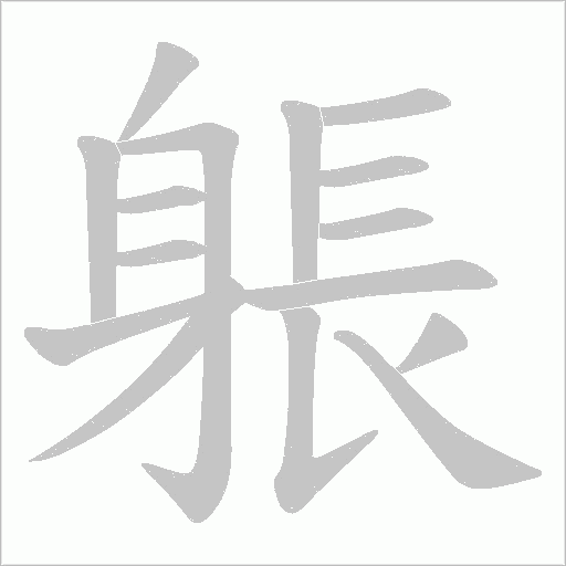 躼笔顺动图