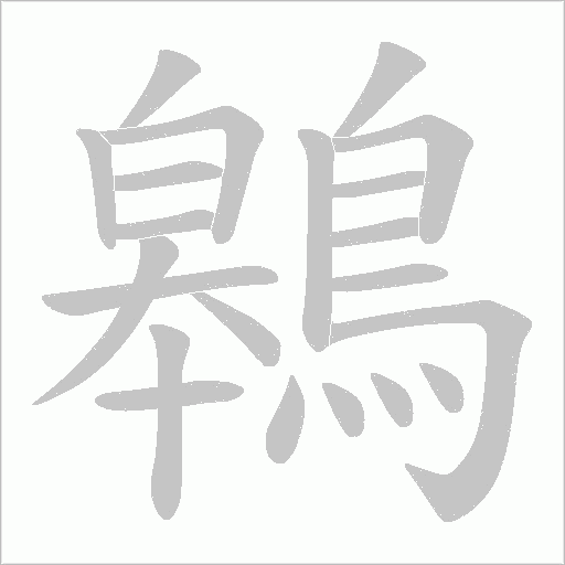 鷎笔顺动图