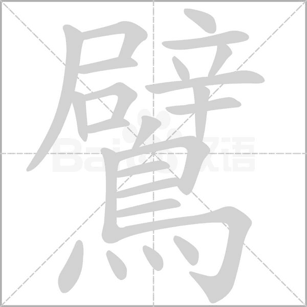 鷿笔顺动图