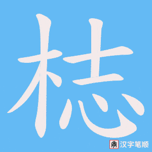 梽笔顺动图