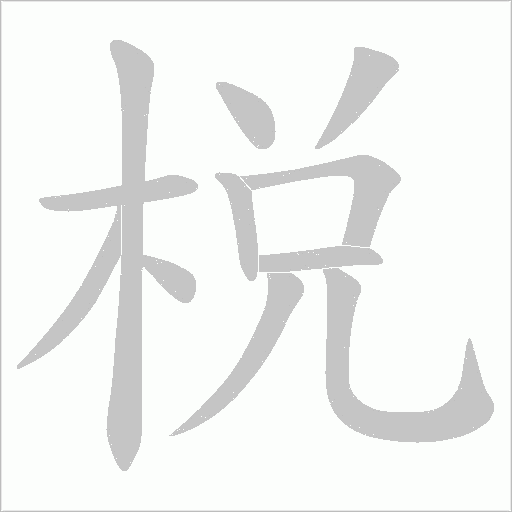 棁笔顺动图