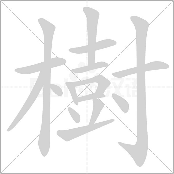 樹笔顺动图