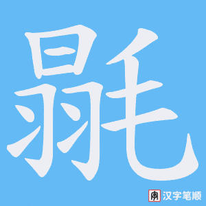 毾笔顺动图