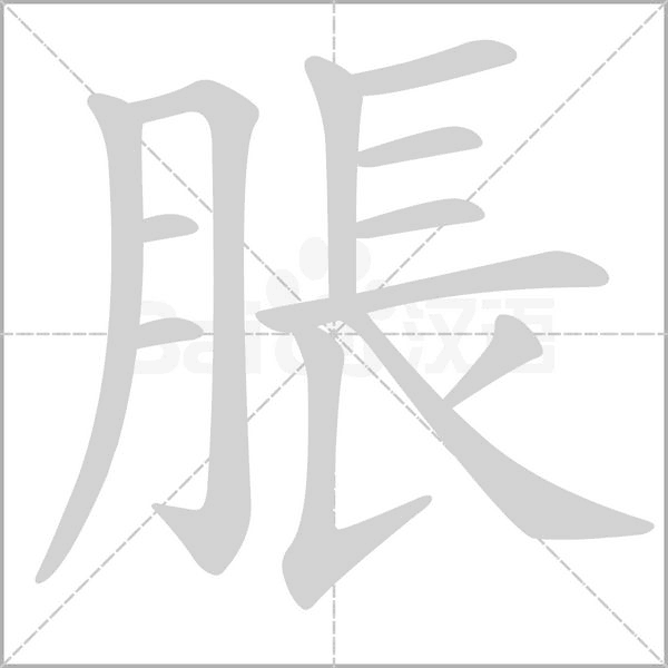脹笔顺动图