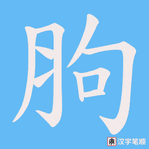 胊笔顺动图