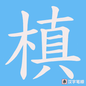 槙笔顺动图