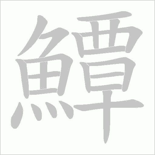 鱏笔顺动图