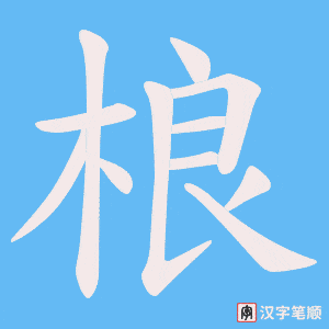 桹笔顺动图