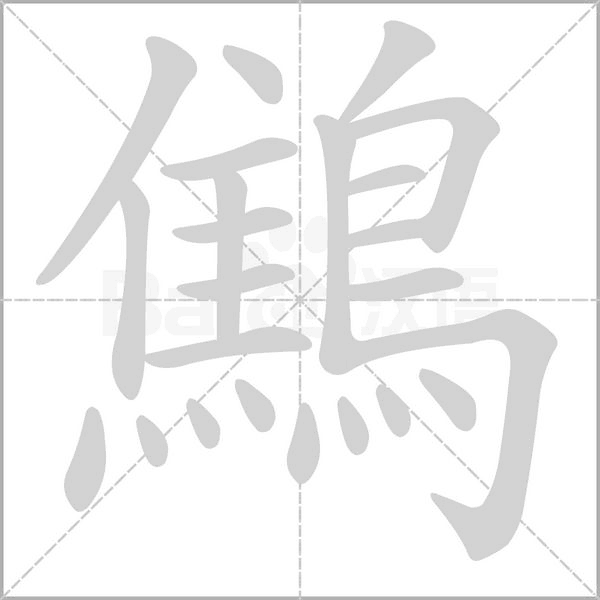 鷦笔顺动图