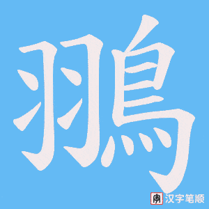翵笔顺动图