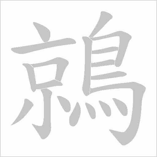 鶁笔顺动图