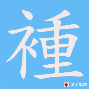 褈笔顺动图