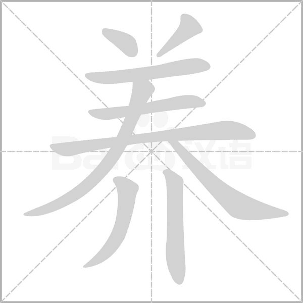 养笔顺动图