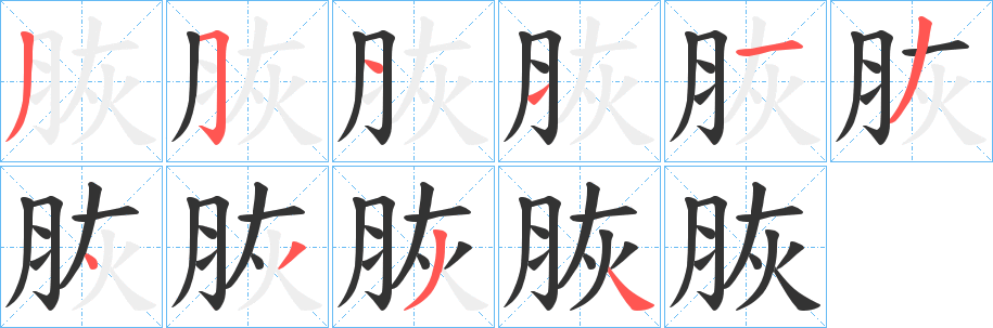 脄的笔顺