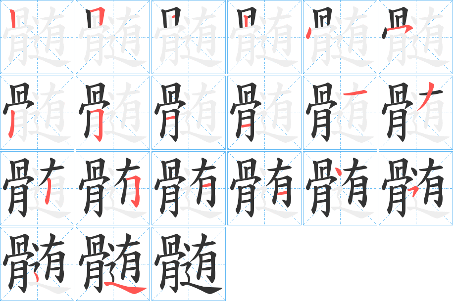 髄的笔顺