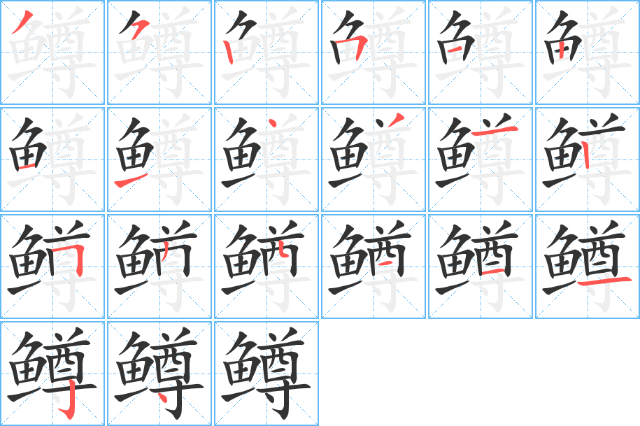 鳟的笔顺