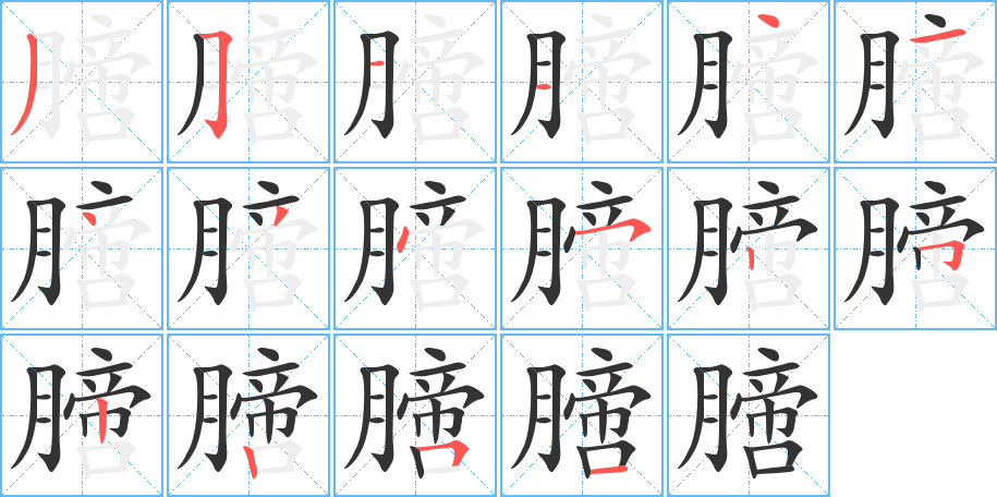 膪的笔顺