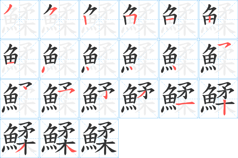 鰇的笔顺