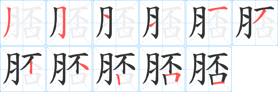 脴的笔顺