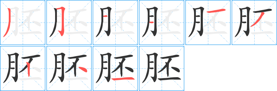 胚的笔顺