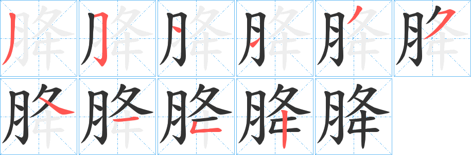 胮的笔顺