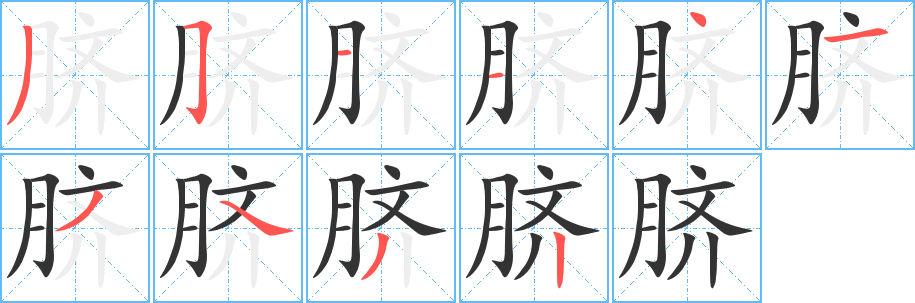 脐的笔顺