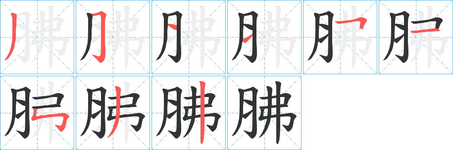 胇的笔顺