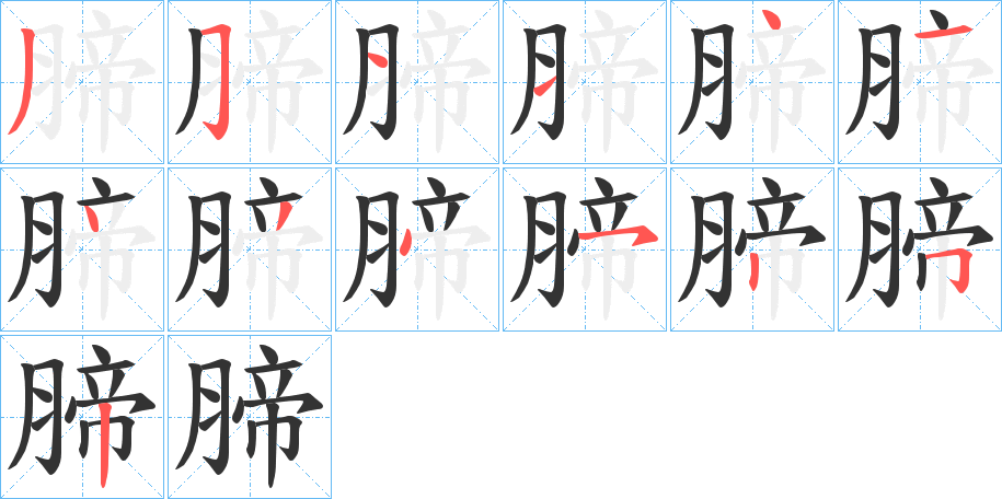 腣的笔顺