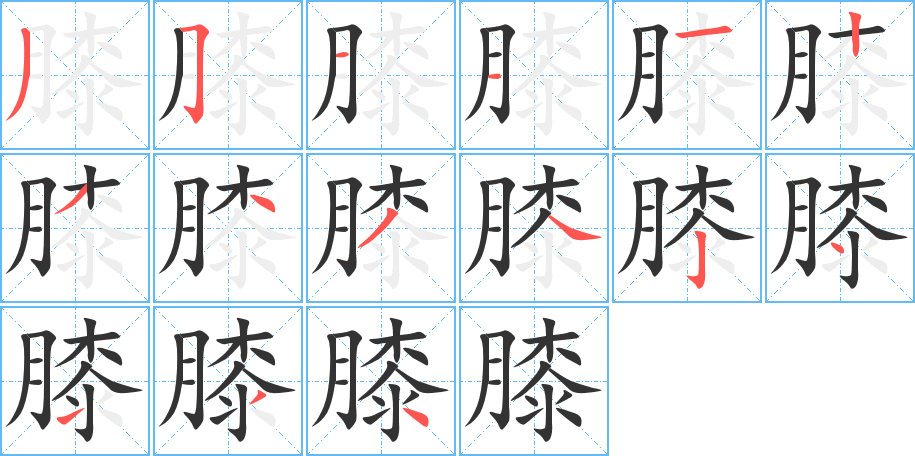 膝的笔顺