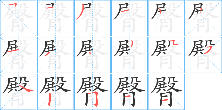 臀的笔顺