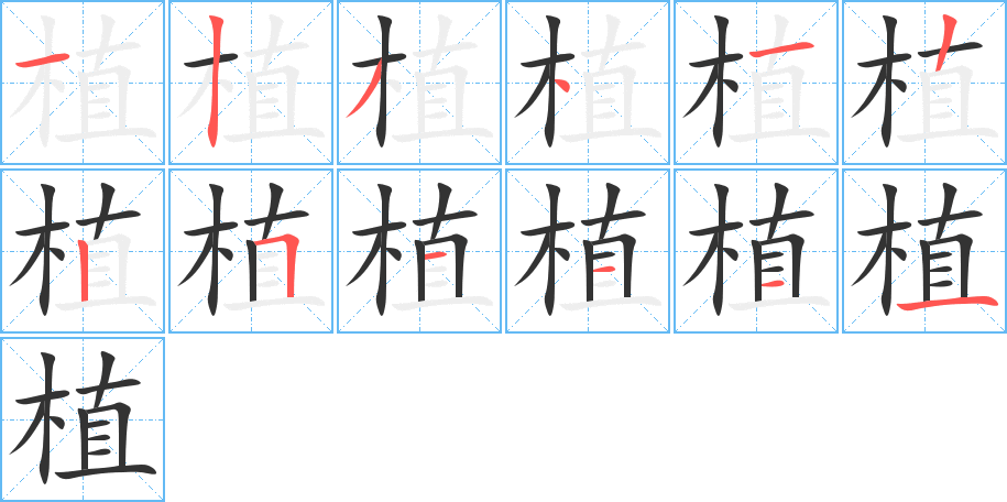 植的笔顺