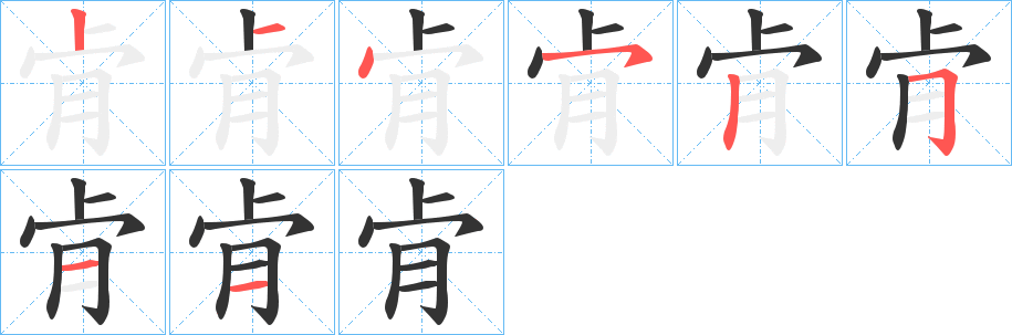 肻的笔顺