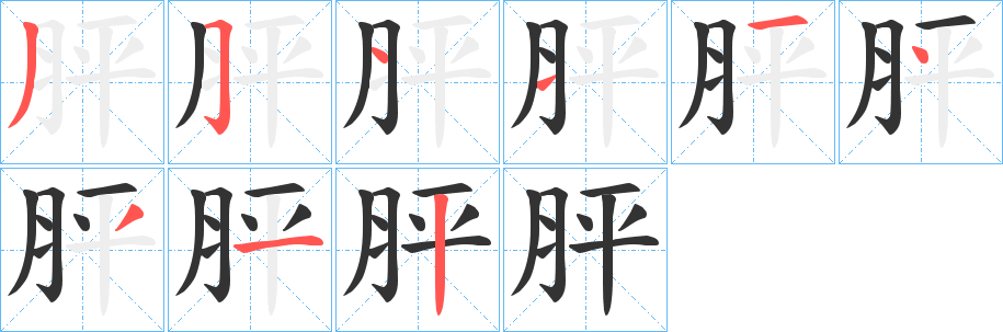 胓的笔顺
