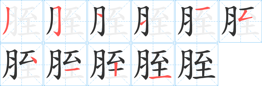 胵的笔顺