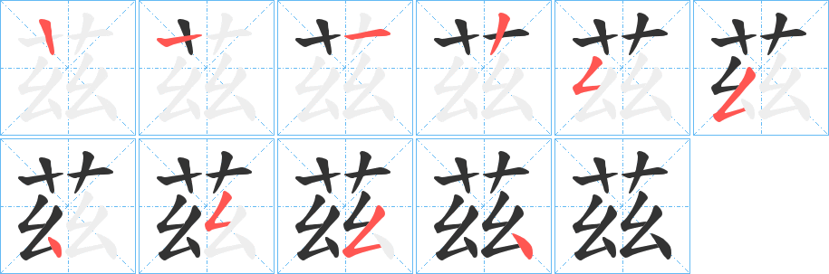 茲的笔顺
