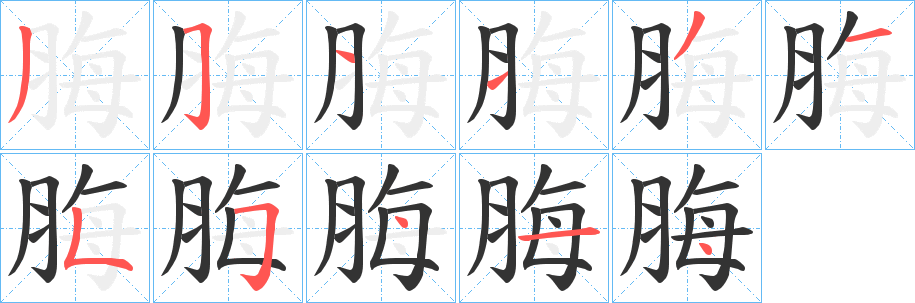 脢的笔顺
