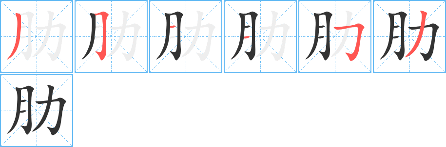 肋的笔顺
