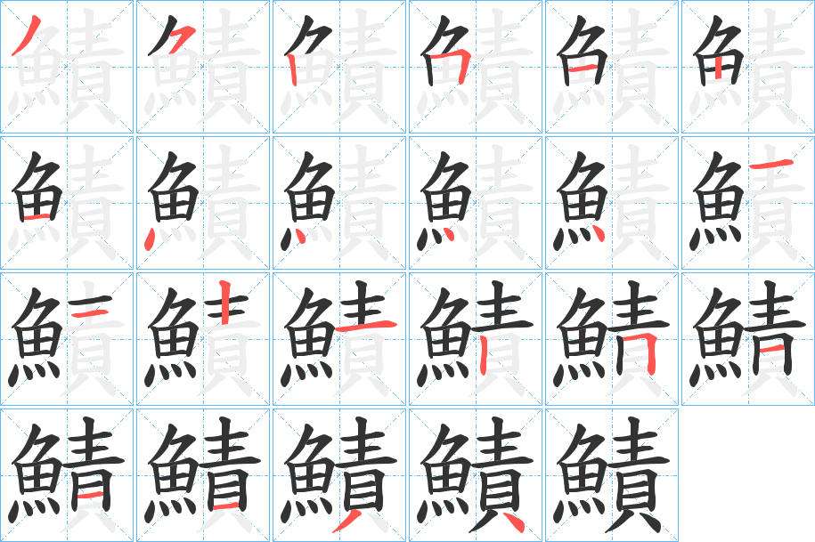 鰿的笔顺
