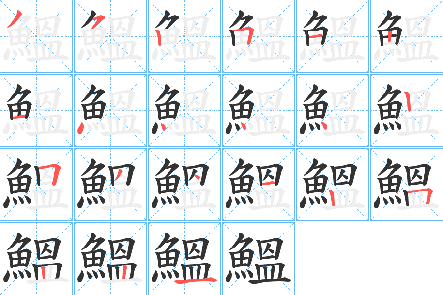 鰮的笔顺