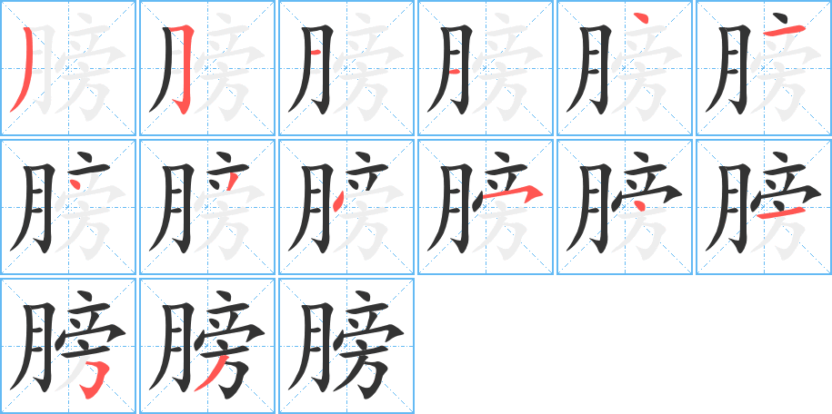膀的笔顺