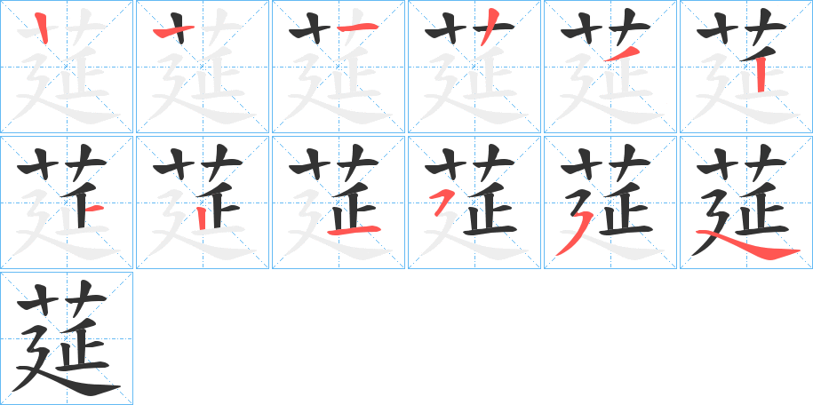 莚的笔顺