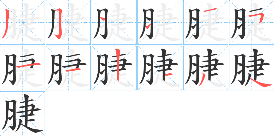 脻的笔顺