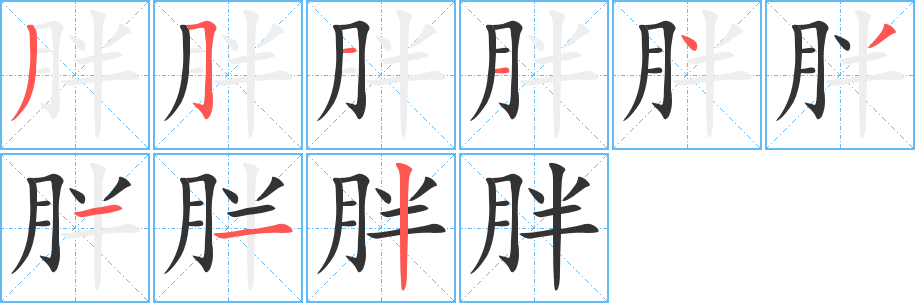 胖的笔顺